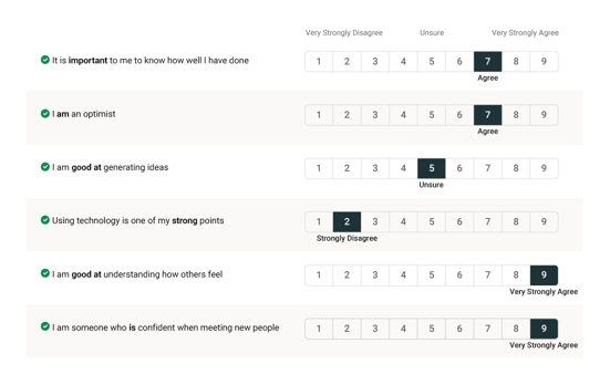 example of a Match 6.5 questionnaire page
