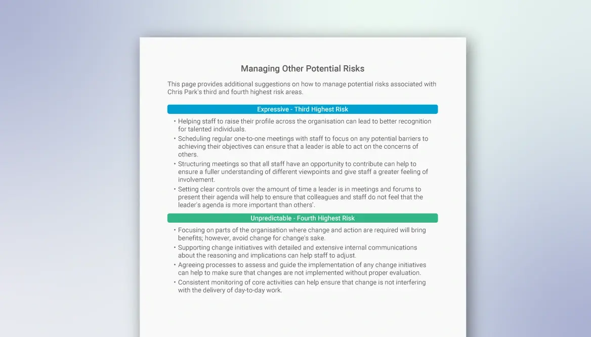 Risk-report-other