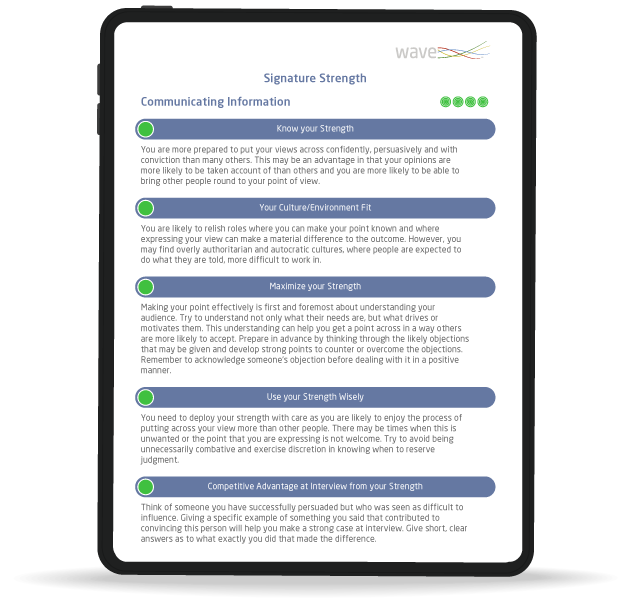 career guidance report mockup