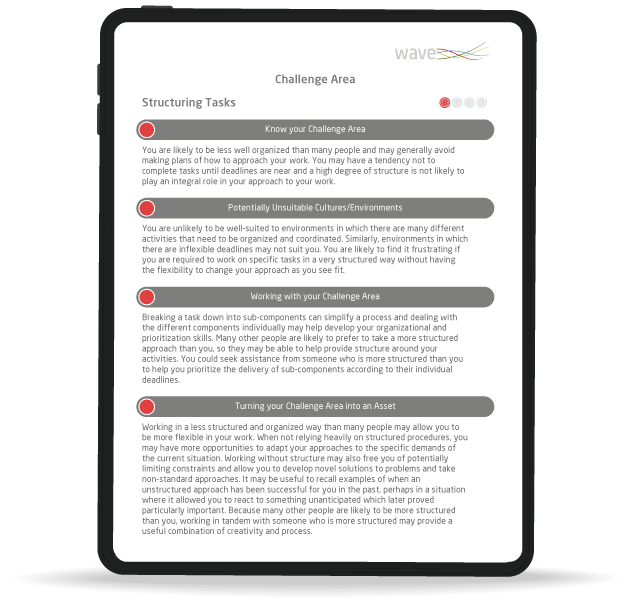 career guidance report mockup