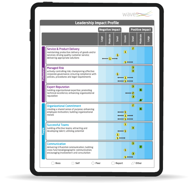 leadership impact 360 mockup