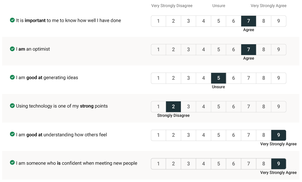 example of a Match 6.5 questionnaire page